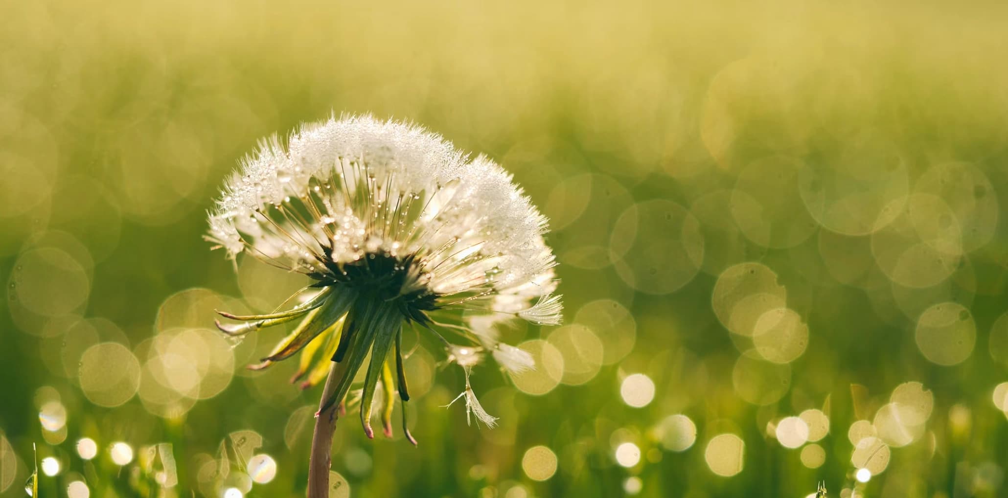 Symbolisches Therapie Bannerfoto