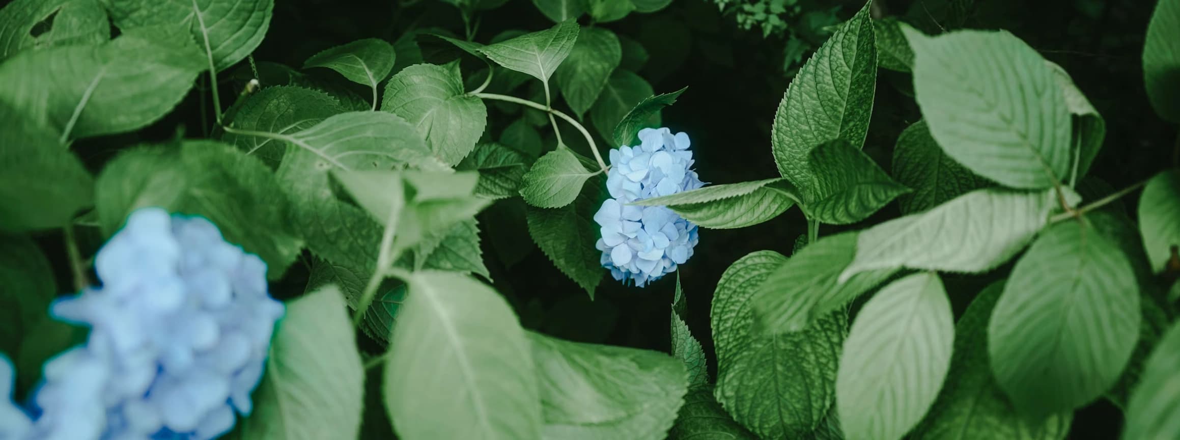 Symbolisches Therapie Bannerfoto