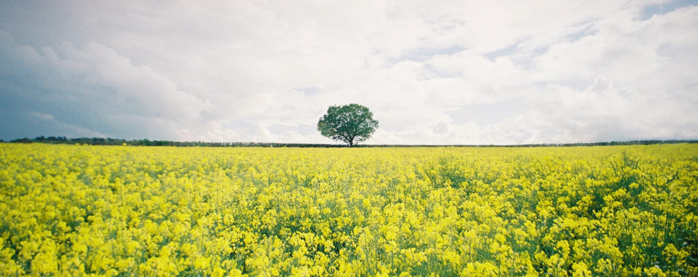 Symbolisches Therapie Bannerfoto