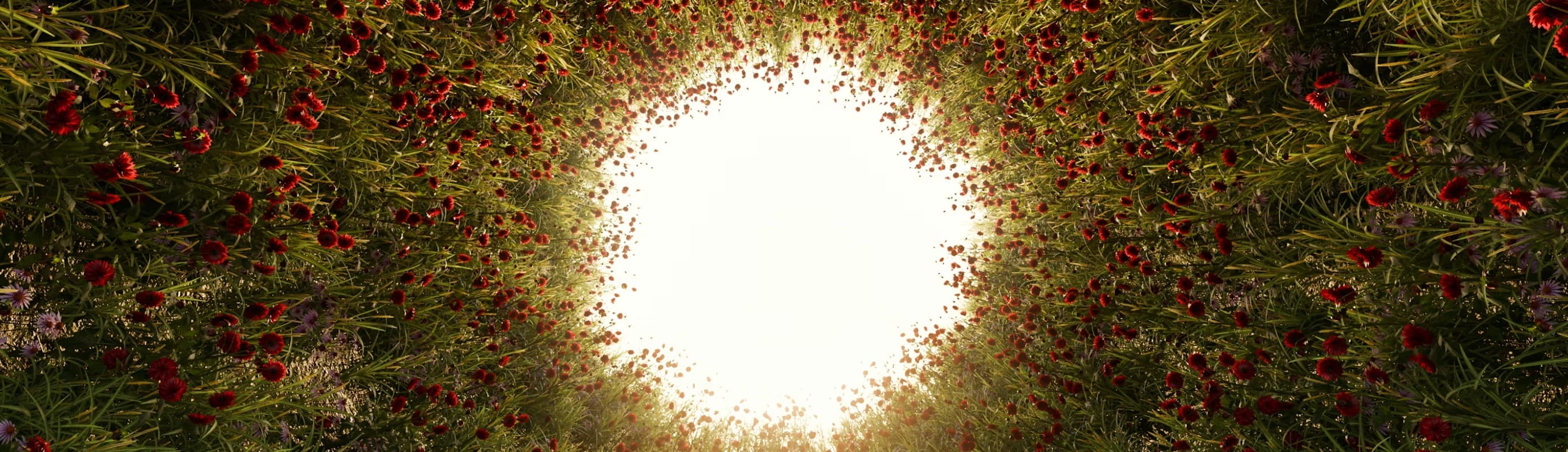 Symbolisches Therapie Bannerfoto