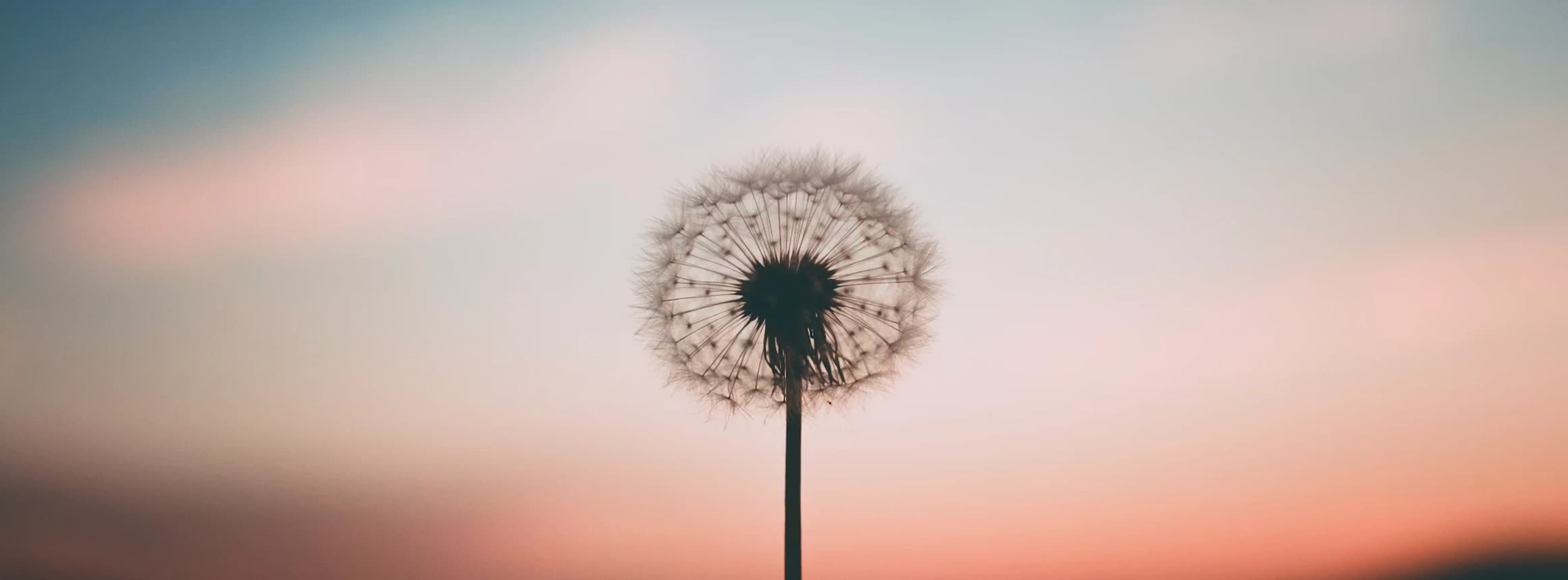 Symbolisches Therapie Bannerfoto